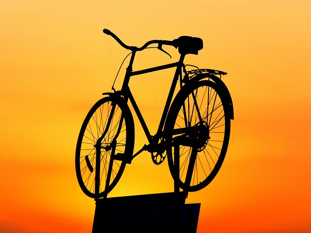 Exercise and Parkinson's Disease - Photo of a bike on a car